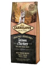 Carnilove Salmon &amp; Turkey Puppy Large Breed 12kg kaina ir informacija | Sausas maistas šunims | pigu.lt