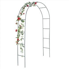 ProGarden Rožių arka su metaliniu rėmu, 13mm kaina ir informacija | Gėlių stovai, vazonų laikikliai | pigu.lt