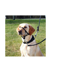Trixie Top Trainer намордник, L-XL 37 см цена и информация | Средства для дрессировки собак | pigu.lt