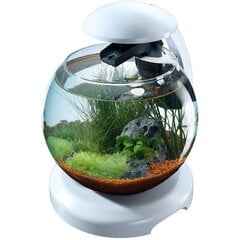 TETRA akvariumas Cascade Globe, 6.8 L kaina ir informacija | Akvariumai ir jų įranga | pigu.lt