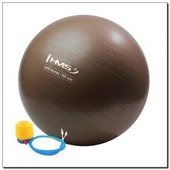 Gimnastikos kamuolys su pompa HMS YB02 65 cm, rudas kaina ir informacija | Gimnastikos kamuoliai | pigu.lt