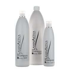 Plaukų šampūnas su keratinu LAMINAKTIVA, 250 ml kaina ir informacija | Šampūnai | pigu.lt