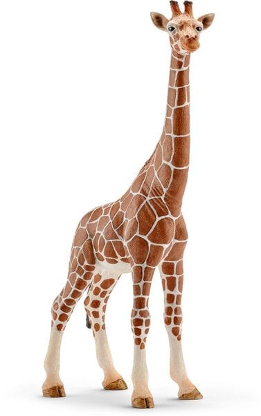 Figūrėlė Žirafa Schleich