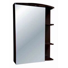 Pakabinama spintelė su veidrodžiu M20, ruda kaina ir informacija | Vonios spintelės | pigu.lt