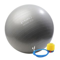 Gimnastikos kamuolys HMS YB02 55 cm su pompa, pilkas kaina ir informacija | Gimnastikos kamuoliai | pigu.lt