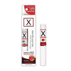 Stimuliuojantis lūpų balzamas X On The Lips Braškės Sensuva, 2 g kaina ir informacija | Feromonai | pigu.lt