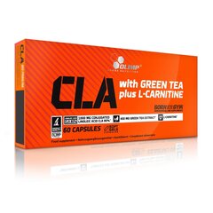 Maisto papildas Olimp CLA &amp; Green Tea + L-Carnitine 60 kaps., MP-3024/14 kaina ir informacija | L-karnitinas | pigu.lt