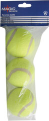 Lauko teniso kamuoliukai Schildkrot Magic-Sports, 3 vnt. kaina ir informacija | Lauko teniso prekės | pigu.lt