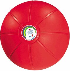 Svorinis treniruočių kamuolys Trial 1 kg, raudonas kaina ir informacija | Svoriniai kamuoliai | pigu.lt