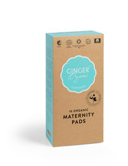 Kasdieniniai higieniniai įklotai Ginger Organic Maternity 10 vnt kaina ir informacija | Tamponai, higieniniai paketai, įklotai | pigu.lt