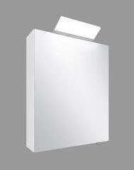 Pakabinama vonios spintelė Linda, 50x70x16 cm, balta kaina ir informacija | Vonios spintelės | pigu.lt