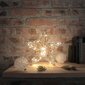 DecoKing šviečianti Kalėdinė dekoracija Žvaigždė Premium, 40 LED kaina