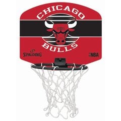 Mini krepšinio lenta Spalding NBA Chicago Bulls 77-649Z kaina ir informacija | Krepšinio lentos | pigu.lt