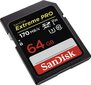 SanDisk Extreme Pro SDXC UHS-I 64 GB internetu