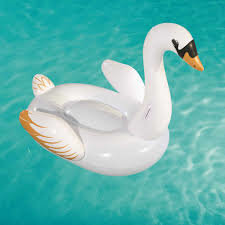 Pripučiamas plaustas Bestway Luxury Swan, 169x169 cm internetu