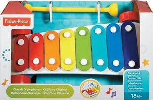 Игрушка ксилофон Fisher Price, CMY09 цена и информация | Развивающие игрушки | pigu.lt