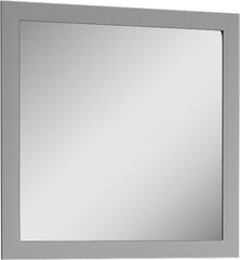 Veidrodis Prowansja LS2, pilkas kaina ir informacija | Prieškambario veidrodžiai | pigu.lt