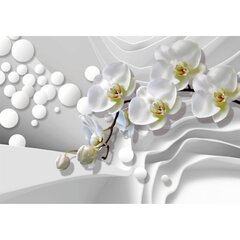 Fototapetai - Orchidėjų švelnumas kaina ir informacija | Fototapetai | pigu.lt