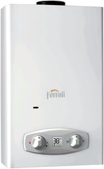 Dujinis vandens šildytuvas Ferroli Zefiro Eco-11 (NG) kaina ir informacija | Vandens šildytuvai | pigu.lt