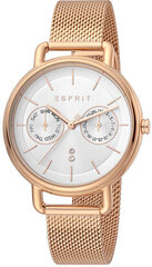 Moteriškas laikrodis Esprit Ellen ES1L179M0095 kaina ir informacija | Moteriški laikrodžiai | pigu.lt