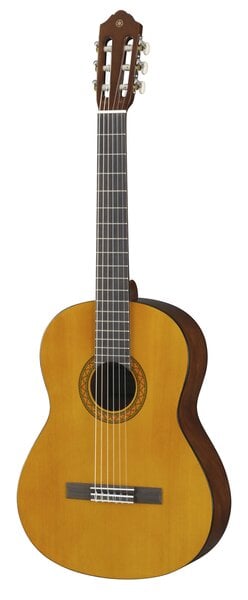 yamaha gitara c40