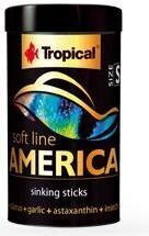 Корм для всеядных и хищных рыб Американская Soft Line America S, 250 мл цена и информация | Корм для рыб | pigu.lt
