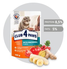 Полноценный консервированный корм для взрослых кошек со скумбрией в соусе Club 4 Paws Premium, 0,1 кг / 24 шт. цена и информация | Консервы для кошек | pigu.lt