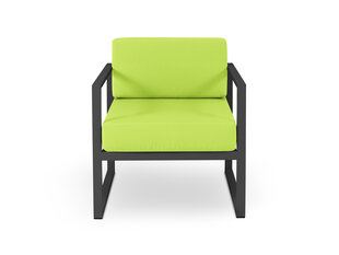 Lauko fotelis Calme Jardin Nicea, šviesiai žalias/tamsiai pilkas kaina ir informacija | Lauko kėdės, foteliai, pufai | pigu.lt