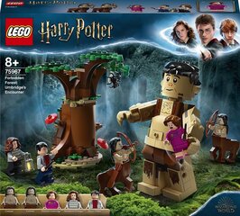 75967 LEGO® Harry Potter Uždraustasis miškas: Ambridž susidūrimas kaina ir informacija | 75967 LEGO® Harry Potter Uždraustasis miškas: Ambridž susidūrimas | pigu.lt
