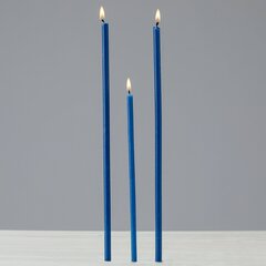 Восковые церковные свечи «Даниловo» синего цвета, №100, 250 штук, 1000 граммов цена и информация | Церковные свечи, подсвечники | pigu.lt