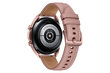 Išmanusis laikrodis Samsung Galaxy Watch 3 LTE (41 mm) pigiau