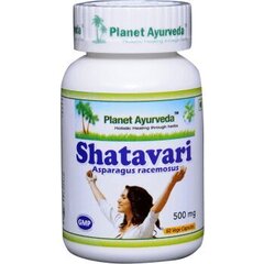 Maisto papildas Planet Ayurveda „Shatavari (Šatavari)&quot;, 60 kapsulių kaina ir informacija | Vitaminai, maisto papildai, preparatai gerai savijautai | pigu.lt