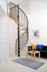 Модульная лестница Piza 4IQ цена и информация | Лестницы | pigu.lt