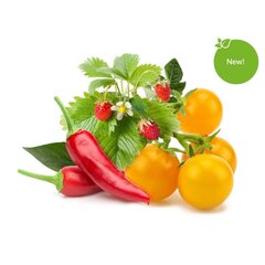 Click and Grow Smart Garden Refill 9 pakuočių vaisių ir daržovių mišinys kaina ir informacija | Daigyklos | pigu.lt