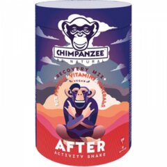 Atstatomasis baltymų kokteilis po treniruotės Chimpanzee, 350 g kaina ir informacija | Produktai atsistatymui | pigu.lt