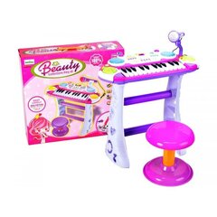 Muzikinė klaviatūra su mikrofonu B15 цена и информация | Развивающие игрушки | pigu.lt