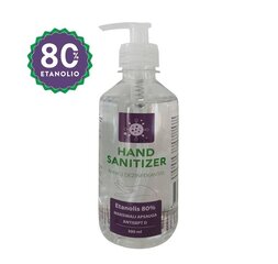 Dezinfekcinis skystis Hand Sanitizer 300 ml kaina ir informacija | Pirmoji pagalba | pigu.lt