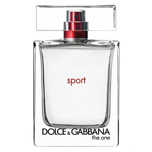 dolce gabbana the one essence