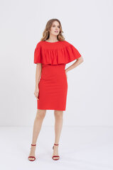Suknelė moterims Utenos trikotažas, raudona kaina ir informacija | Suknelė moterims Utenos trikotažas, raudona | pigu.lt