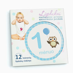12 mėnesių lipdukų rinkinys - „Išmintingas pelėdžiukas“ kaina ir informacija | Antspaudai kūdikiams | pigu.lt
