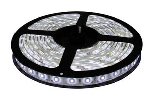 LED juosta 5m CW kaina ir informacija | LED juosta 5m CW | pigu.lt