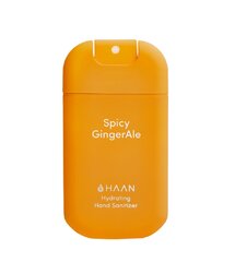 Dezinfekcinis rankų skystis Haan Pocket Spicy Ginger Ale, 30 ml kaina ir informacija | Pirmoji pagalba | pigu.lt