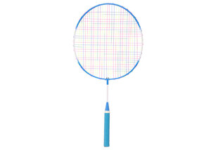 Badmintono rinkinys Atom Sports Giant kaina ir informacija | Badmintonas | pigu.lt