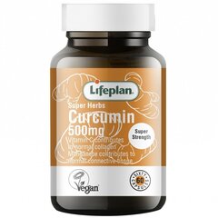 Maisto papildas Lifeplan Curcumin 500 mg, 60 kapsulių kaina ir informacija | Vitaminai, maisto papildai, preparatai gerai savijautai | pigu.lt