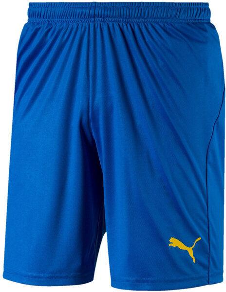 puma liga shorts core