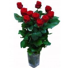 Raudonos rožės, 11 vnt kaina ir informacija | Gyvos gėlės | pigu.lt