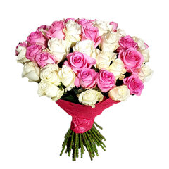 Baltos-rožinės rožės, 50 vnt kaina ir informacija | Gyvos gėlės | pigu.lt