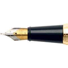 Plunksnakotis Sheaffer 300 Glossy Black with Gold Tone kaina ir informacija | Verslo dovanos | pigu.lt
