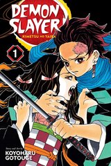 Komiksas Manga Demon slayer vol 1 kaina ir informacija | Komiksai | pigu.lt