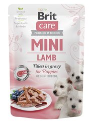 Brit Care Mini konservai šuniukams su ėrienos filė padaže 85g kaina ir informacija | Konservai šunims | pigu.lt